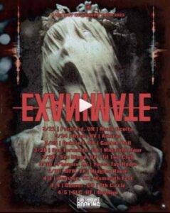 Exanimate